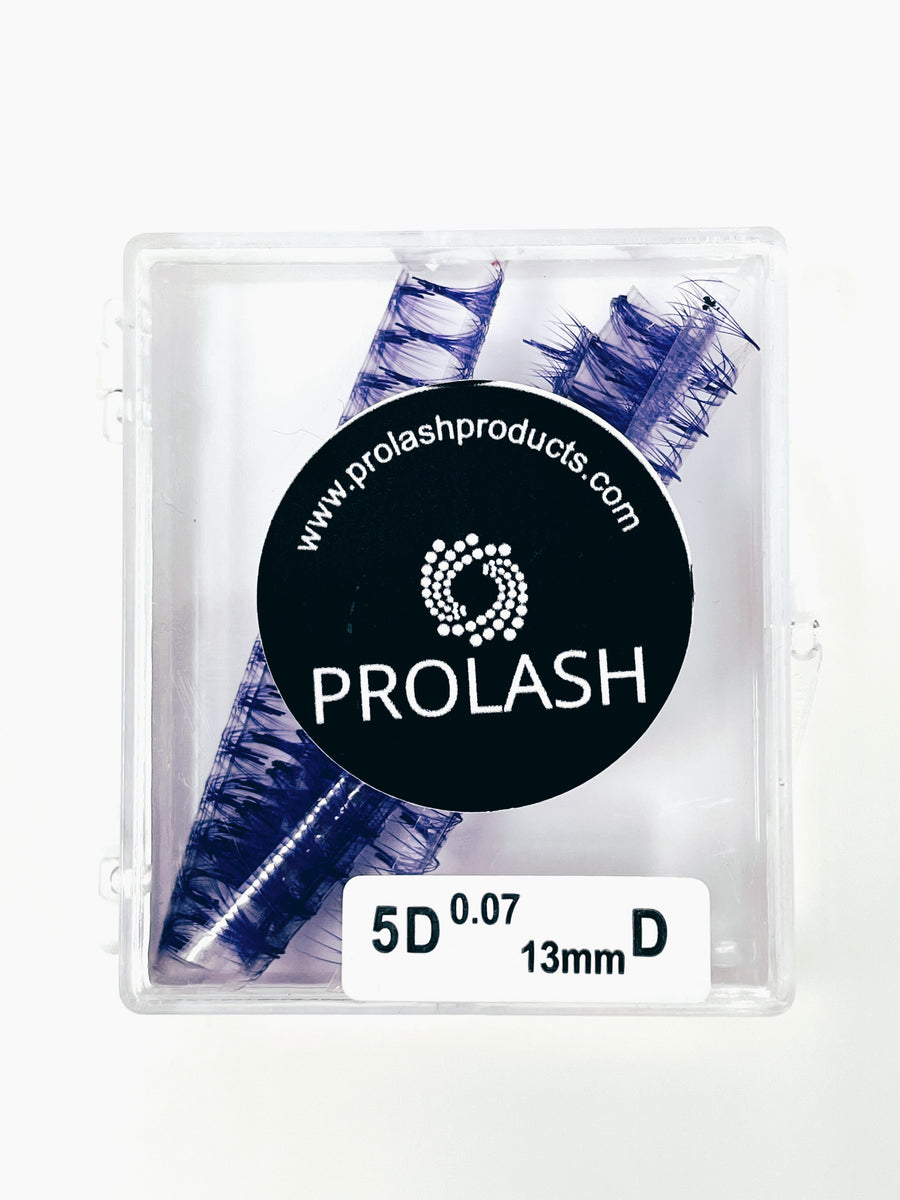5D Pre-Made Volume Colored Lash Case