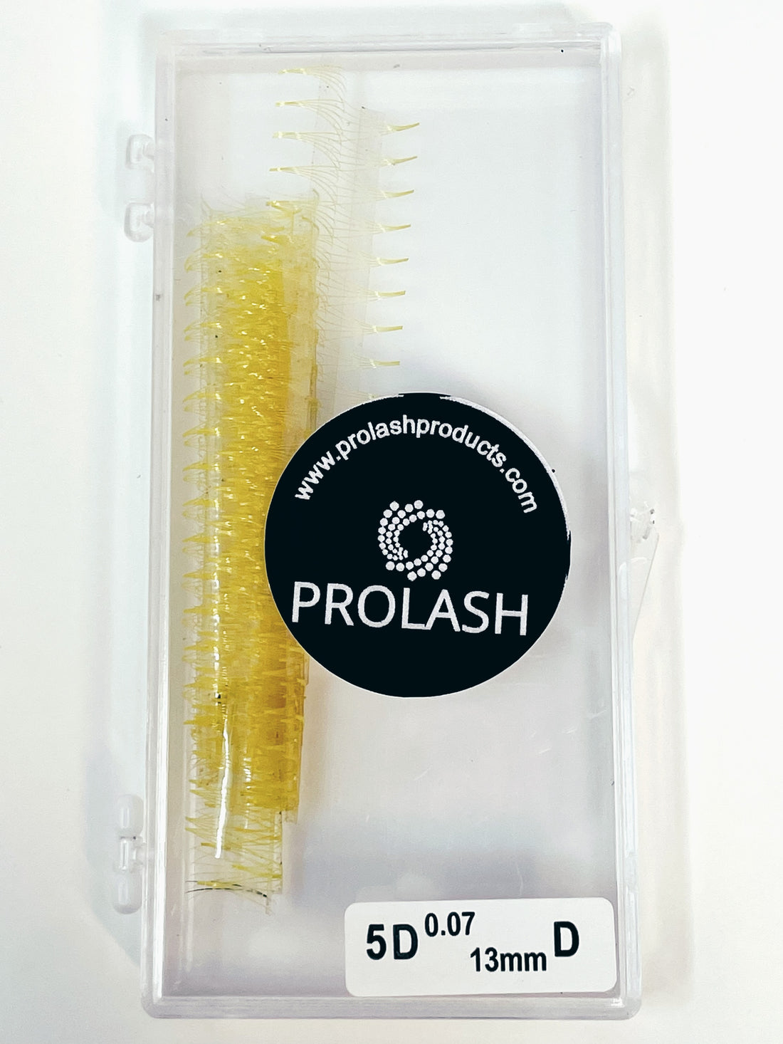 5D Pre-Made Volume Colored Lash Case