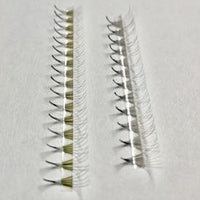 10D Pre-Made Volume Lash Case