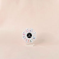 5D Pre-Made Volume Rainbow Wheel Lash Case