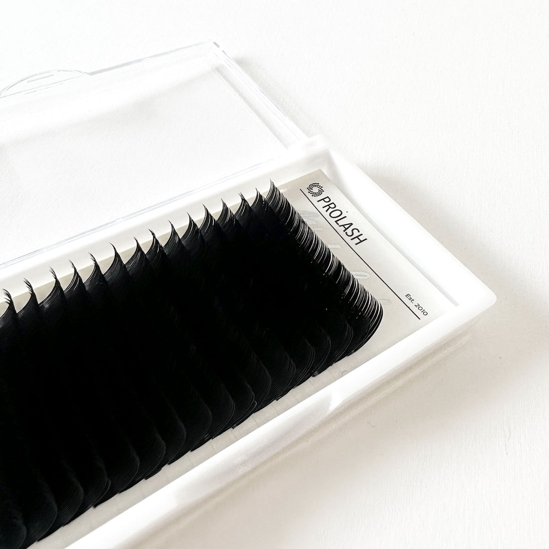 D Curl Classic Lash Case