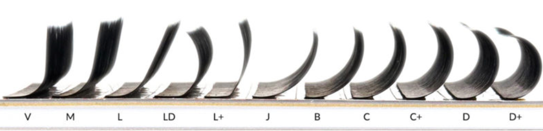 DD Curl Classic Lash Case