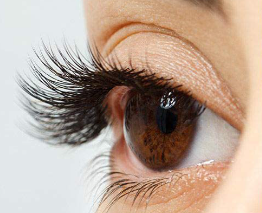Classic Lash Case  "C Curl"