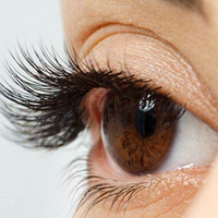 Classic Lash Case  "C Curl"