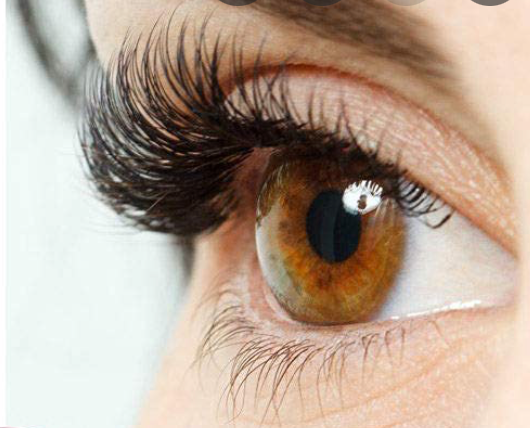 D Curl Classic Lash Case