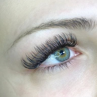 DD Curl Classic Lash Case