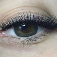 M Curl Classic Lash Case