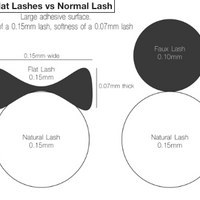 Flat Lash Case