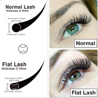 Flat Lash Case