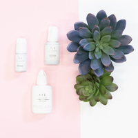 LASH GLUE (classic~volume): 5ml or 10 ml