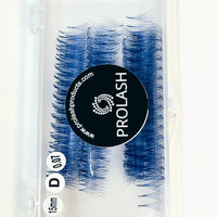 5D Pre-Made Volume Colored Lash Case