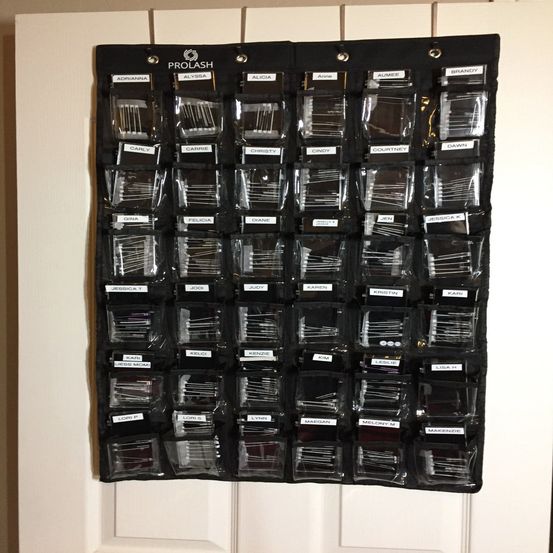 Lash Case Hanging Organizer