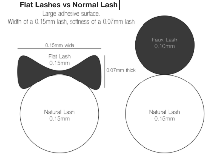Flat Lash Case