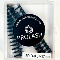 5D Pre-Made Volume Lash Case