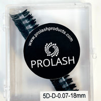 5D Pre-Made Volume Lash Case