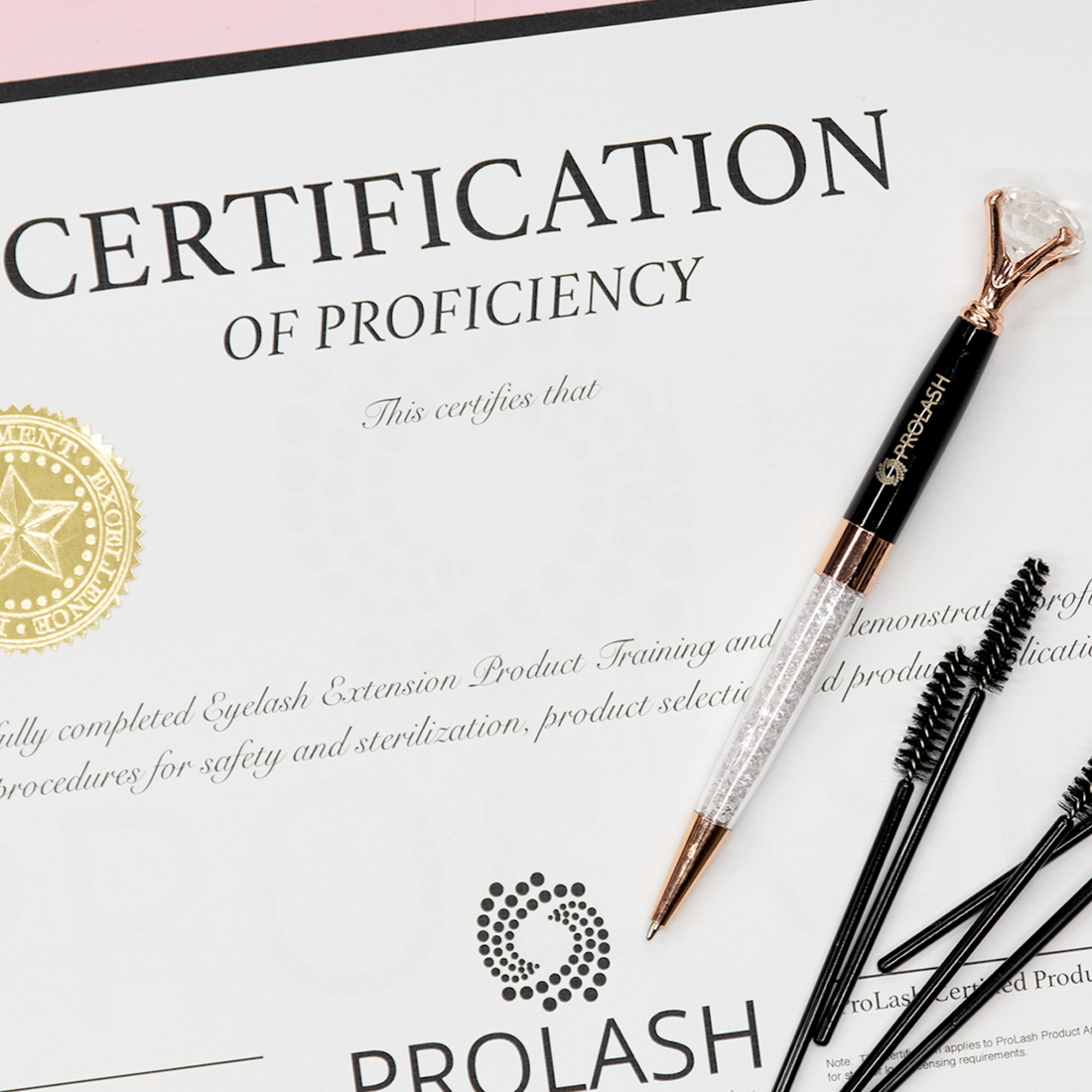 Training: Exclusive ProLash Professional Training